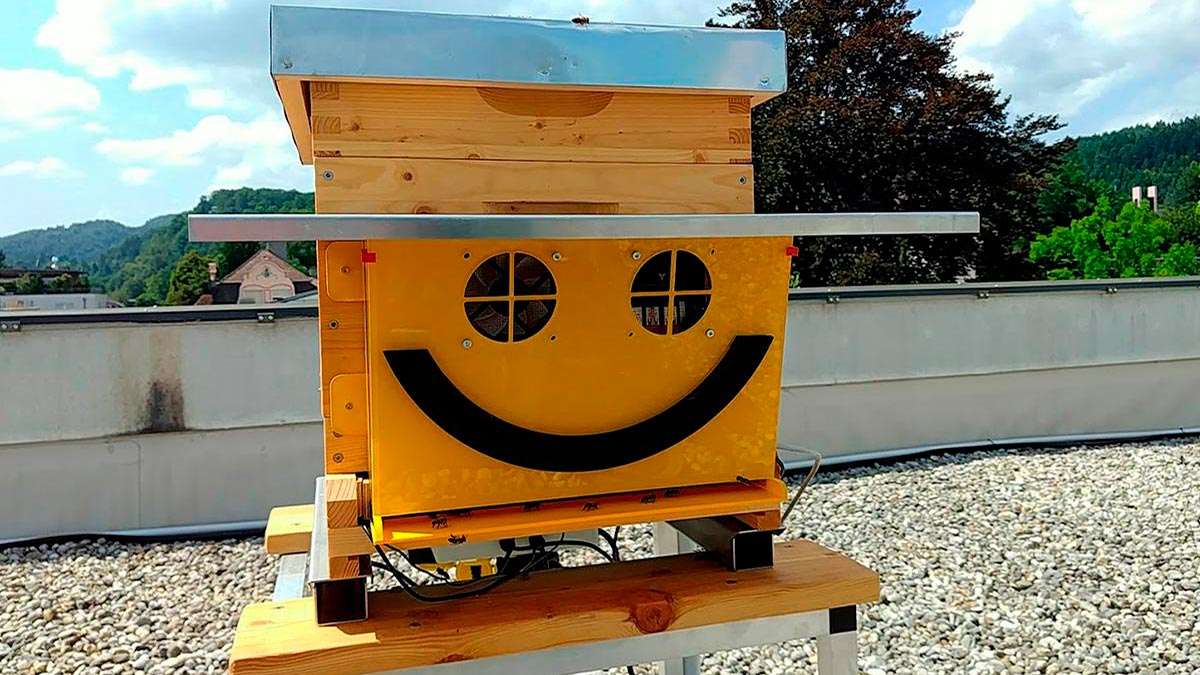 Abejómetro 5G para ayudar a las abejas